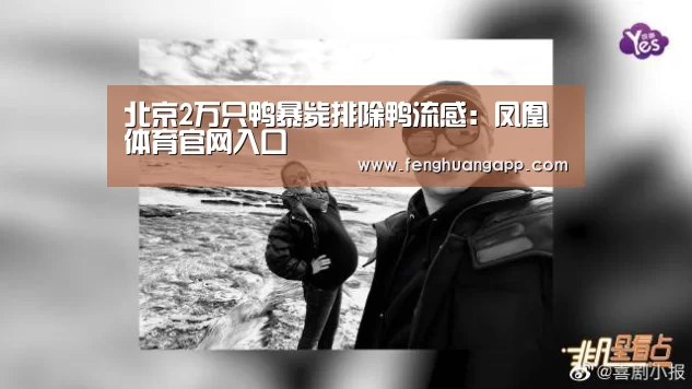 北京2万只鸭暴毙排除鸭流感:凤凰体育官网入口