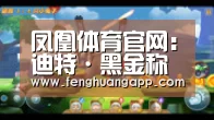 凤凰体育官网入口