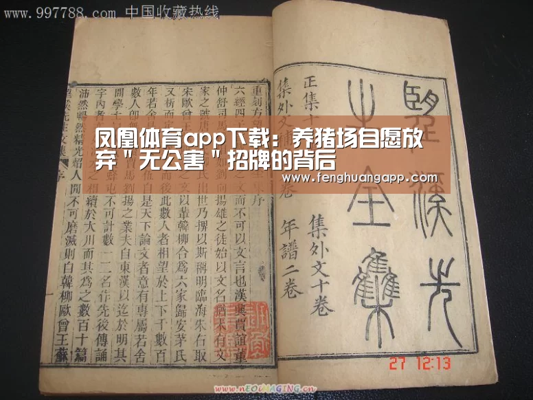 凤凰体育官网入口