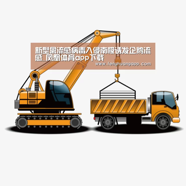 凤凰体育官网入口