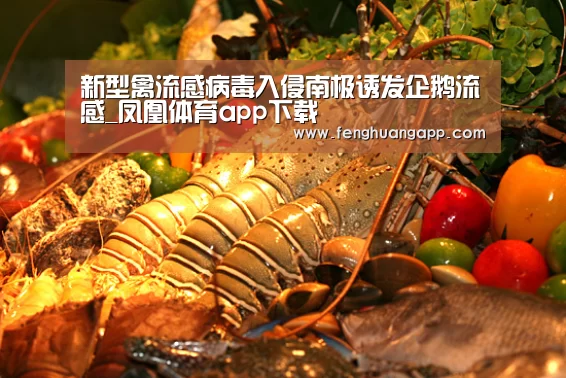 新型禽流感病毒入侵南极诱发企鹅流感_凤凰体育app下载