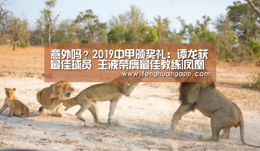 意外吗?2019中甲颁奖礼:谭龙获最佳球员 王波荣膺最佳教练|凤凰体育官网入口(图2) 凤凰体育